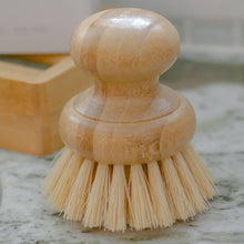 Load image into Gallery viewer, CASA AGAVE® Dish Washing Brush